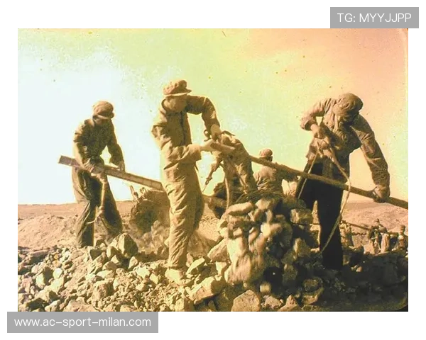 法兰克福准备提升转身速度体系——开启速度革命的新纪元