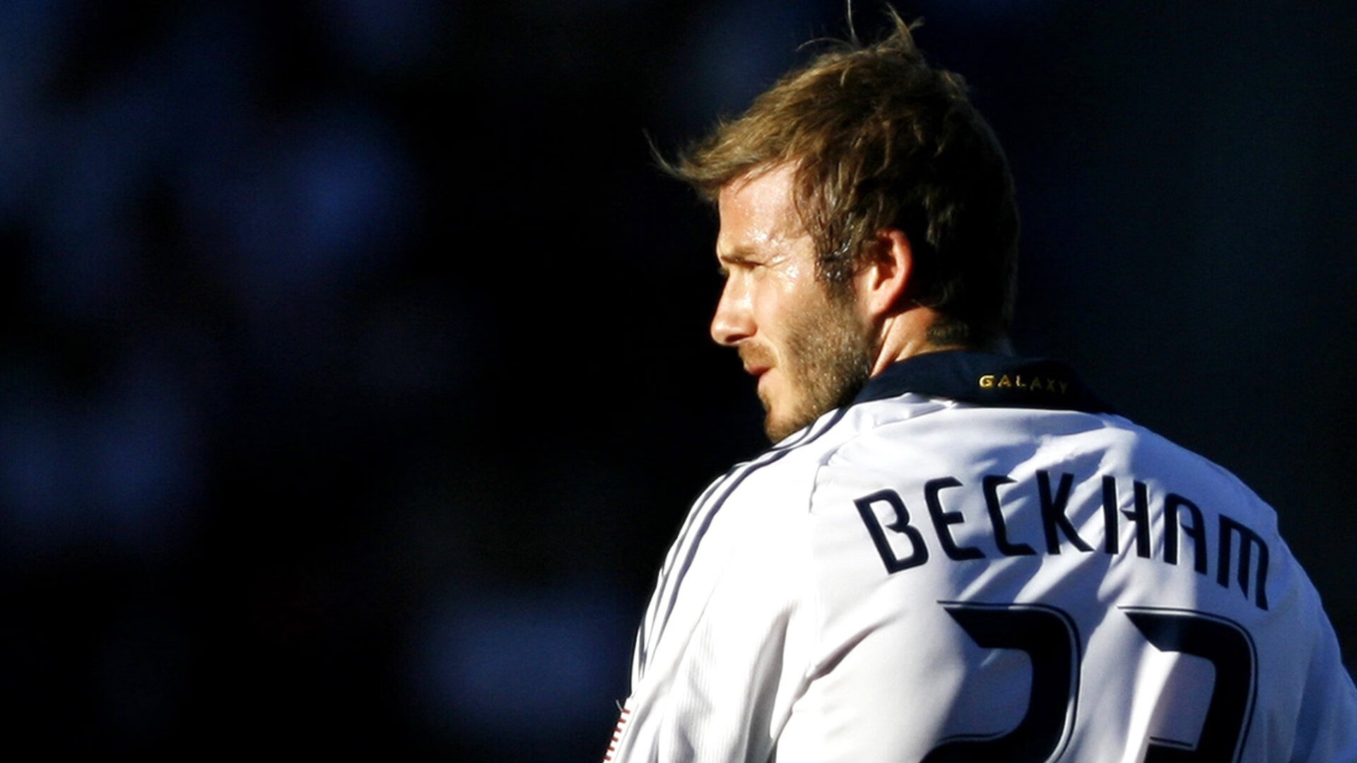 体育场馆智能服务系统，体育场馆智能服务系统有哪些